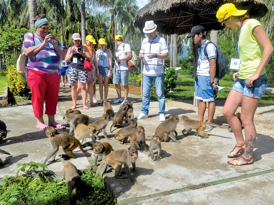đảo khỉ tại tour du lich Nha Trang